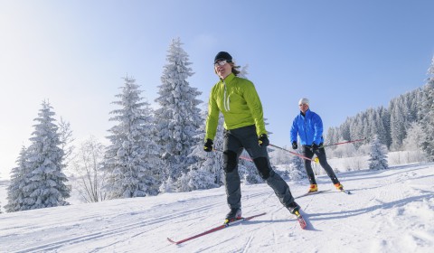 Ski nordique dans les Hautes Vosges d'Alsace
