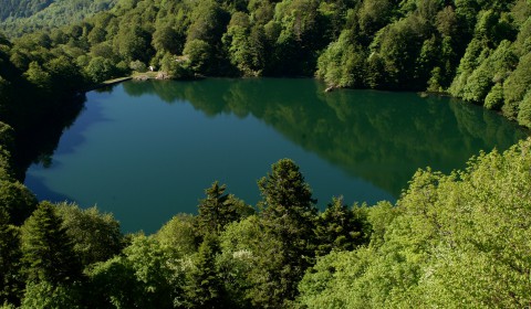 Le lac de Michelbach©OTTC Léa Manigold